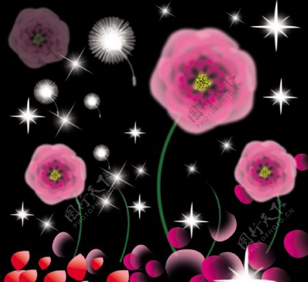 粉色浪漫花卉图片