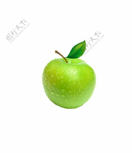 单个苹果图片