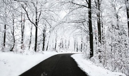 冬季公路图片