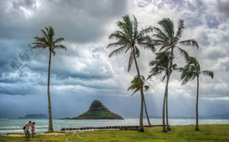 夏威夷帽子山图片