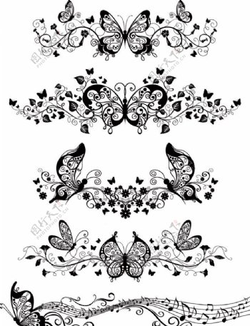 花纹花边蝴蝶装饰设计矢量图片