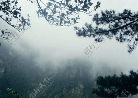 庐山云雾风光图片