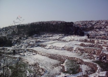 雪后朝阳图片