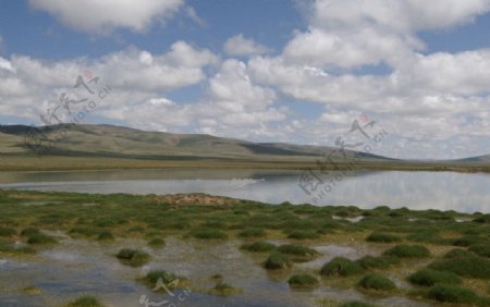 草原的小湖泊图片