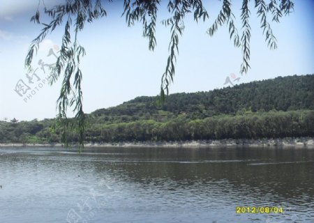 青青湖水图片