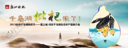 浙江经视2015枇杷节图片