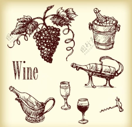 手绘葡萄和葡萄酒用品矢量素材图片