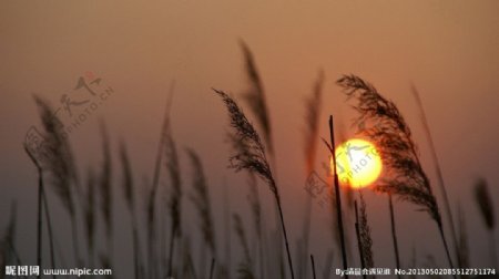 夕阳图片