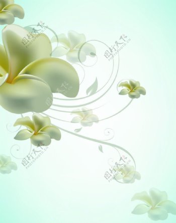 花朵背景图片