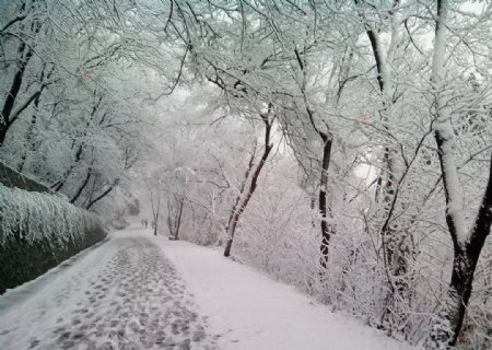 大蜀山的雪景图片