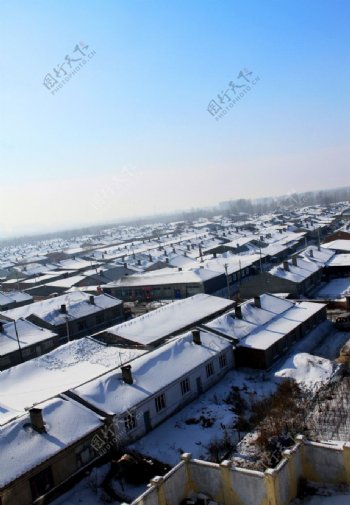 冬天的哈尔滨图片
