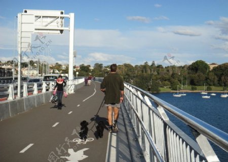 悉尼追墨大桥图片