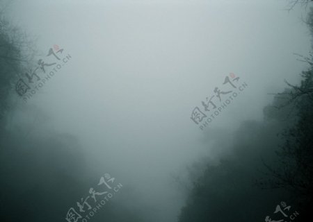 山林大雾图片