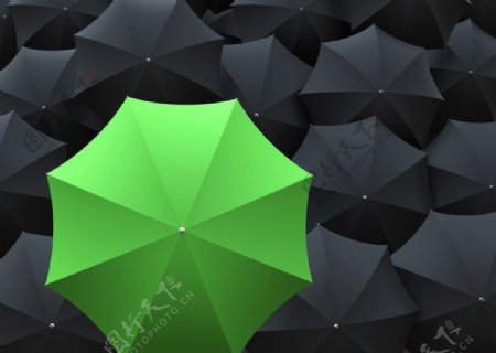 绿色雨伞图片