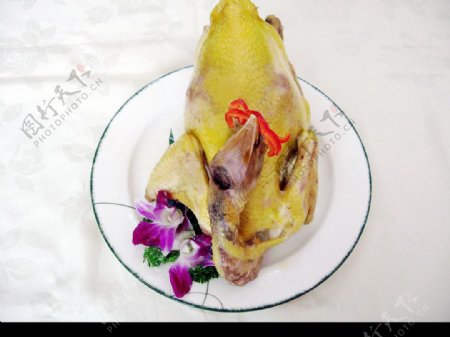紫金三黄鸡图片