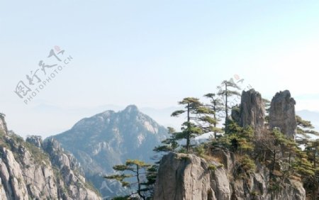 黄山风景图片