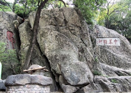 泰山石刻图片