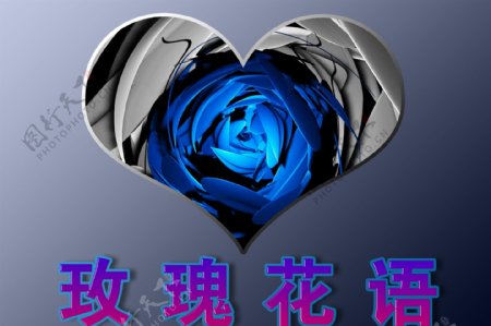 蓝玫瑰图片