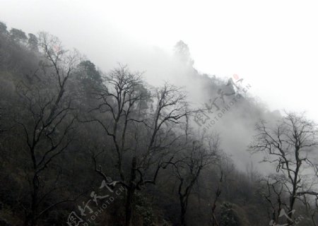 二郎山云雾雪景图片