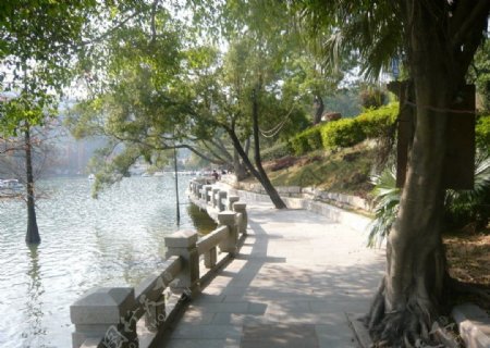 深圳银湖度假村图片
