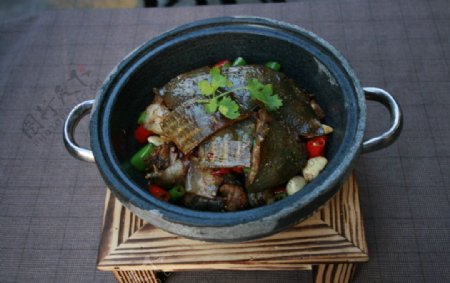 石锅青椒焖甲鱼图片