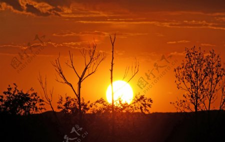 大漠落日圆图片
