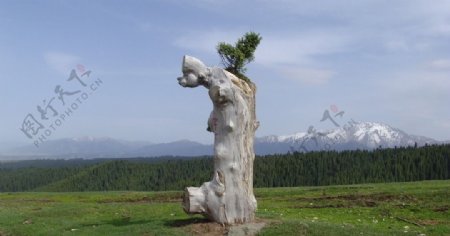 新疆乌鲁木齐南山图片