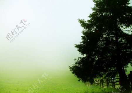 雾中山景图片