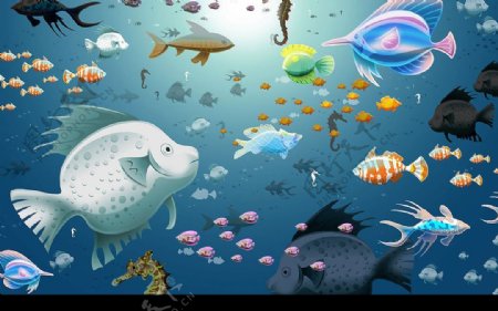 海底生物壁纸图片