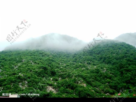 融安山中雾景图片