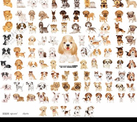 105可爱小狗矢量图图片