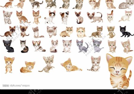 40多款可爱版小猫咪矢量素材图片