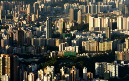 香港九龙建筑群图片