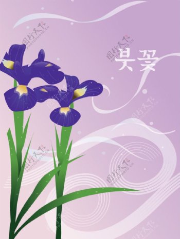韩国紫色花图片