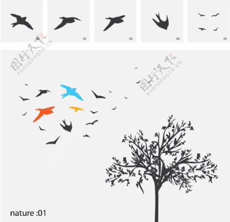 树木鸟矢量图片