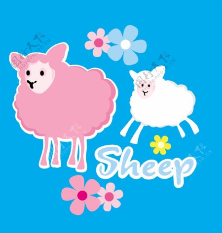 sheep图片