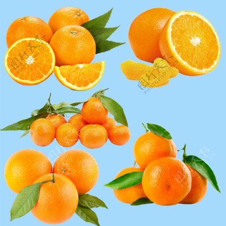 橙子分层素材图片