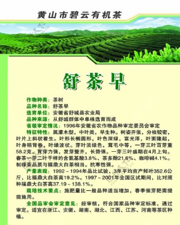 茶业制度展板图片