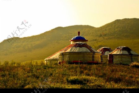 草原蒙古包2图片