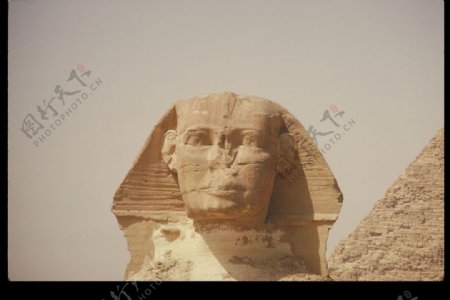 埃及狮身人面像图片