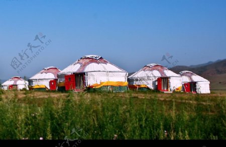 草原蒙古包1图片