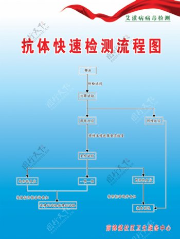 抗体快速检测流程图图片