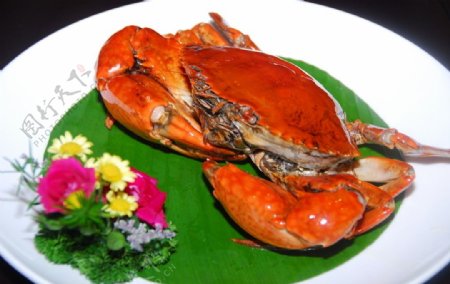 餐饮美食螃蟹可口美味西餐海鲜海味图片