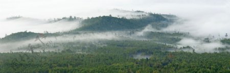 林海云雾图片
