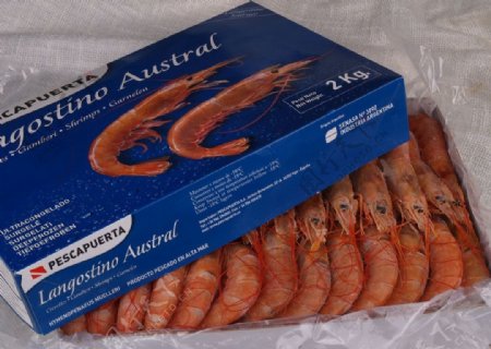 阿根廷红虾图片