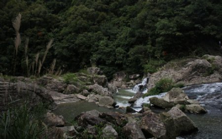 南靖树海瀑布图片