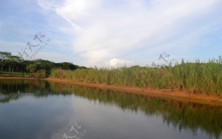 松湖一景图片