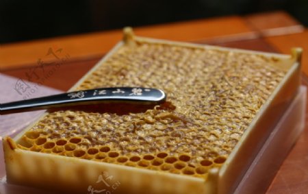 江山碧之蜂巢之蜜图片