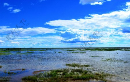 蓝天白云呼伦湖图片