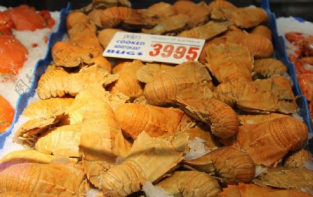 悉尼海鲜市场图片
